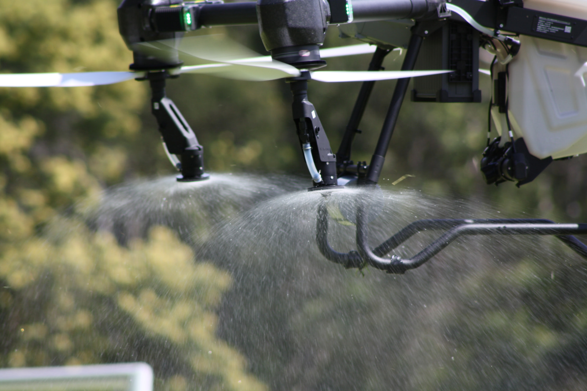 DJI Agras T50 spraying in the field