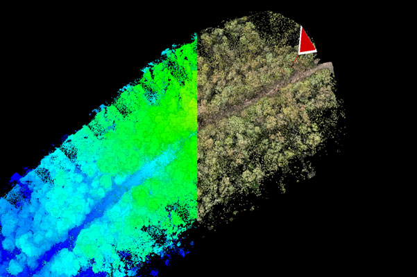 LiDAR point cloud of terrain and vegetation