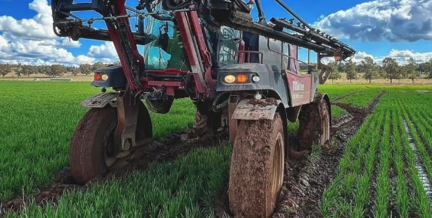 Ground spray rig bogged to its axles in a wet paddock, unable to reach the rest of the crop